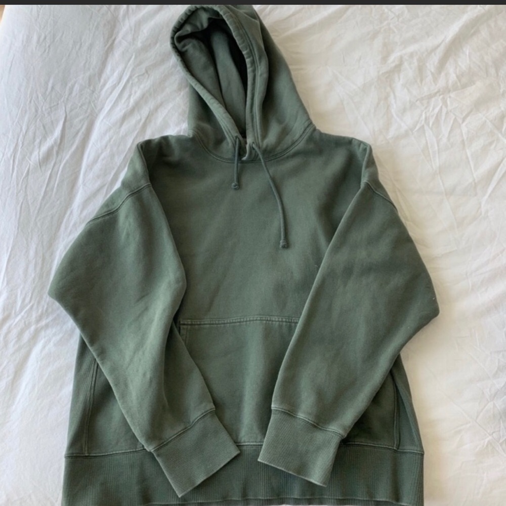 TNA Aritzia Boyfriend Hoodie GD Sagesse 2